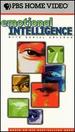 Emotional Intelligence With Daniel Goleman [Vhs]