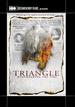 Triangle: Remembering the Fire
