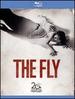 The Fly