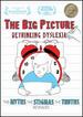 The Big Picture: Rethinking Dyslexia