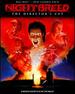 Nightbreed (Director's Cut)