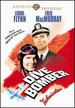 Dive Bomber