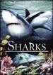 Sharks [Blu-Ray]