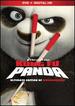 Kung Fu Panda