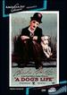 A Dog's Life (Silent)