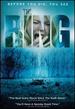 The Ring