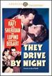 They Drive By Night