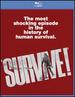 Survive!