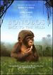 Bonobos: Back to the Wild