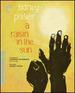 A Raisin in the Sun (the Criterion Collection) [Blu-Ray]