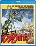 The Deadly Mantis