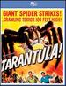 Tarantula