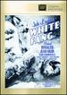 White Fang