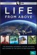 Life From Above