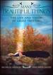 Many Beautiful Things: the Life and Vision of Lilias Trotter
