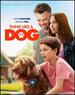 Think Like a Dog [Blu-Ray]