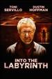 Into the Labyrinth [Dvd]