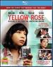 Yellow Rose