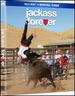 Jackass Forever [Blu-Ray]