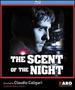 The Scent of the Night