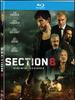 Section 8