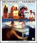 Drowning by Numbers [Blu-ray]
