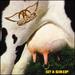 Get a Grip [2 Lp]