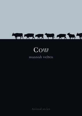 Cow - Velten, Hannah
