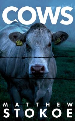 Cows - Stokoe, MR Matthew