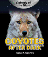 Coyotes After Dark
