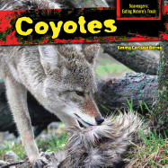 Coyotes