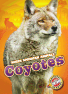 Coyotes