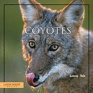 Coyotes