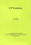 CP Violation