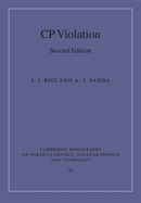 CP Violation