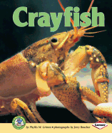 Crayfish