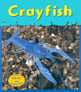 Crayfish