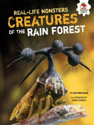 Creatures of the Rain Forest - Rake, Matthew
