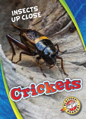 Crickets - Perish, Patrick