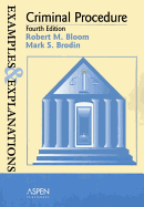 Criminal Procedure: Examples and Explanations