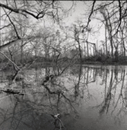 Crossing the Water - Sinclair, Nicholas