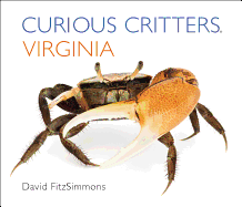 Curious Critters Virginia