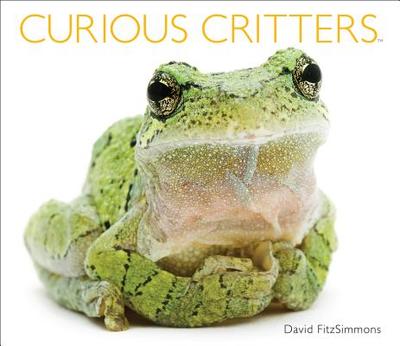 Curious Critters - Fitzsimmons, David