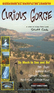 Curious Gorge - Cook, Scott