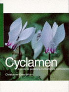 CYCLAMEN