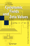 Cyclotomic Fields and Zeta Values