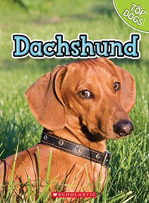 Dachshund - George, Charles, and George, Linda