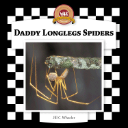 Daddy Longlegs Spiders