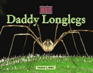 Daddy Longlegs