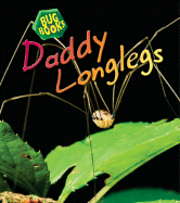 Daddy Longlegs - Anderson, Catherine